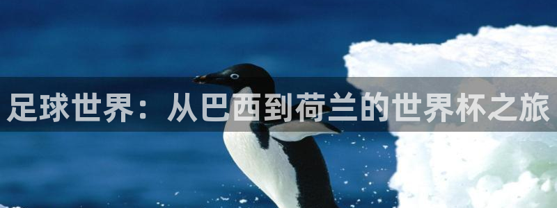 2026世预赛赛程：足球世界：从巴西到荷兰的世界杯之旅