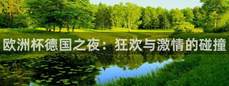 世界杯亚洲预选赛18强赛程：欧洲杯德国之夜：狂欢与激情的碰撞