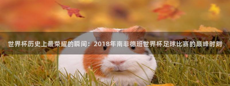 2026世界杯32强对阵图表：世界杯历史上最荣耀的瞬间：2018年南非德班世界杯足球比赛的巅峰时刻