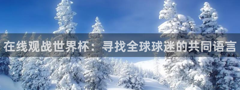 2026世界杯亚洲预选赛赛程：在线观战世界杯：寻找全球球迷的共同语言