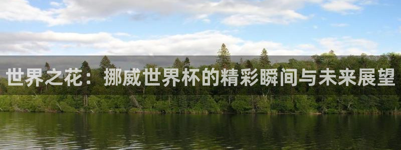 世界杯足球：世界之花：挪威世界杯的精彩瞬间与未来展望