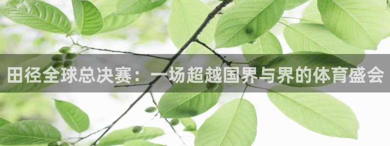 世界杯赛程表：田径全球总决赛：一场超越国界与界的体育盛会