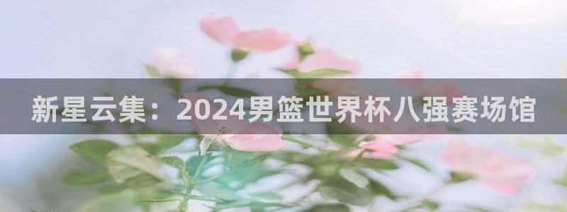 世界杯预选赛欧洲赛区积分榜：新星云集：2024男篮世界杯八强赛场馆
