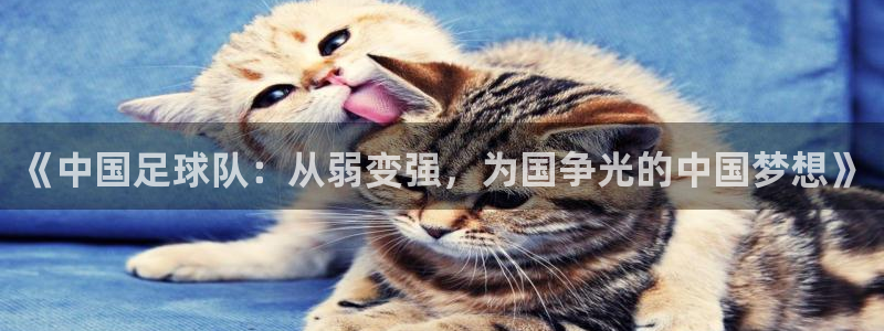 世界杯决赛圈球队：《中国足球队：从弱变强，为国争光的中国梦想》