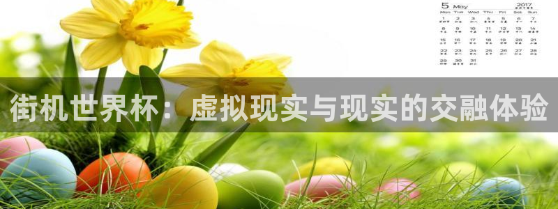 2026年世界杯时间表：街机世界杯：虚拟现实与现实的交融体验