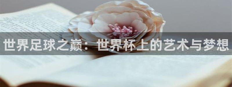 法国杯2026赛程表：世界足球之巅：世界杯上的艺术与梦想