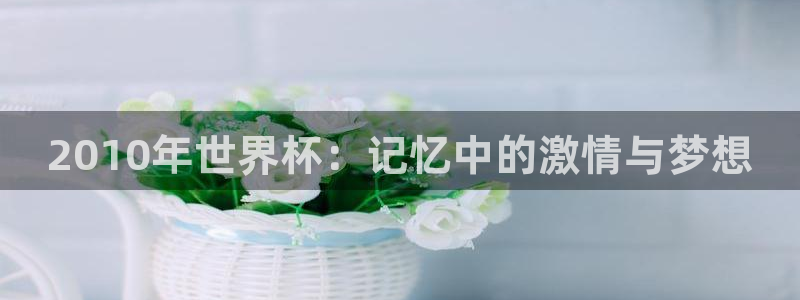 2006世界杯：2010年世界杯：记忆中的激情与梦想
