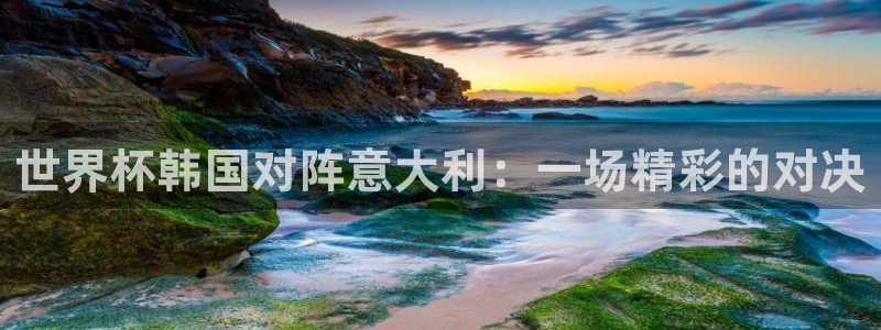 免费看足球直播比赛：世界杯韩国对阵意大利：一场精彩的对决