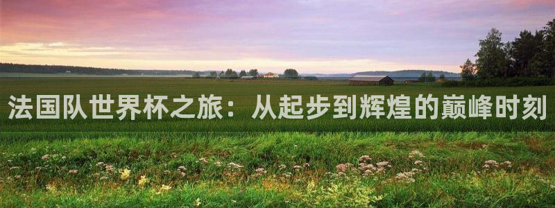 世界杯赛程2026：法国队世界杯之旅：从起步到辉煌的巅峰时刻