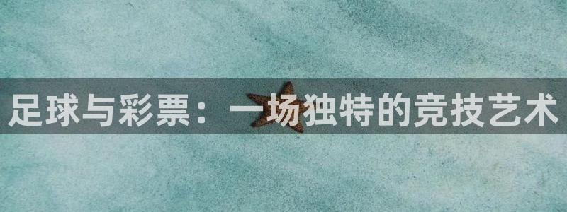 世界杯球队：足球与彩票：一场独特的竞技艺术
